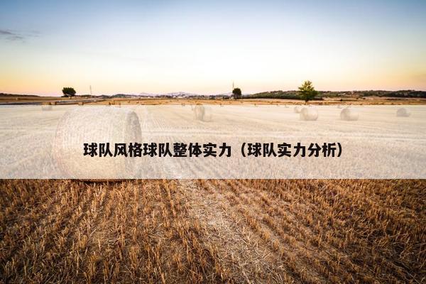 球队风格球队整体实力（球队实力分析）