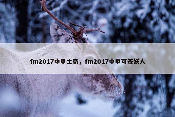 fm2017中甲土豪，fm2017中甲可签妖人