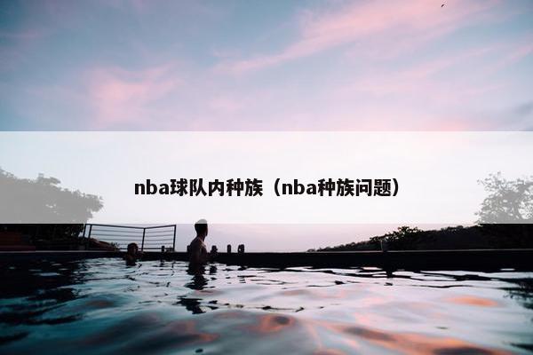 nba球队内种族（nba种族问题）