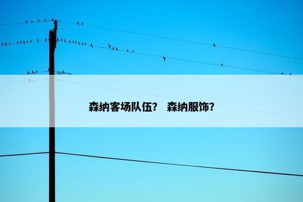 森纳客场队伍？ 森纳服饰？