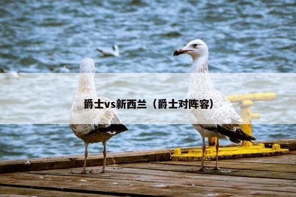 爵士vs新西兰（爵士对阵容）