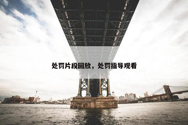 处罚片段回放，处罚指导观看