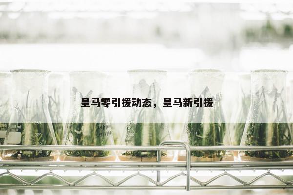 皇马零引援动态，皇马新引援