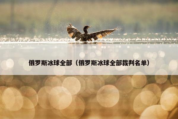 俄罗斯冰球全部（俄罗斯冰球全部裁判名单）