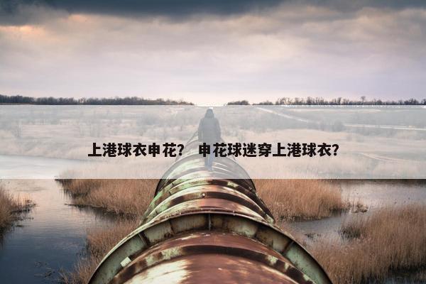 上港球衣申花？ 申花球迷穿上港球衣？