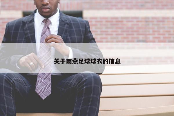 关于雨燕足球球衣的信息