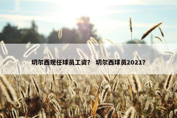 切尔西现任球员工资？ 切尔西球员2021？