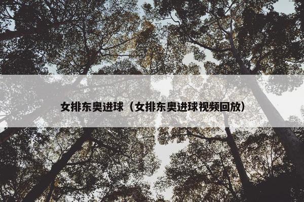 女排东奥进球（女排东奥进球视频回放）
