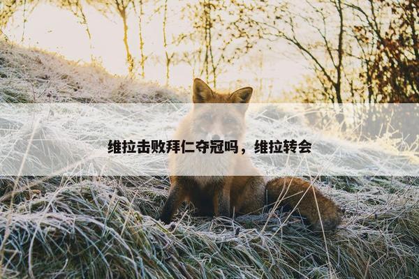 维拉击败拜仁夺冠吗，维拉转会