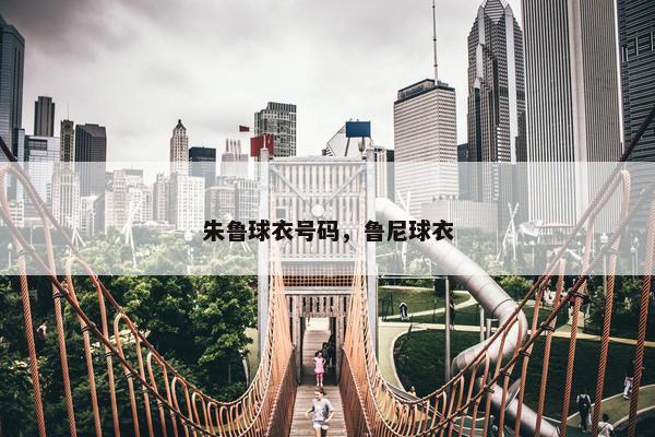 朱鲁球衣号码，鲁尼球衣