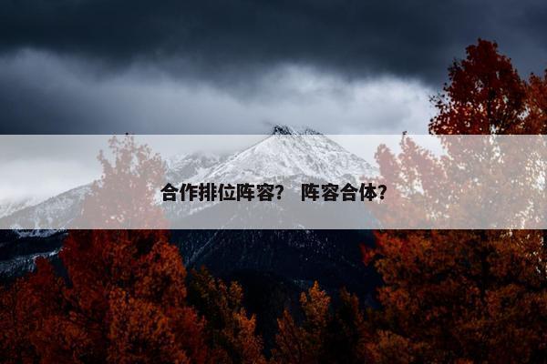 合作排位阵容？ 阵容合体？
