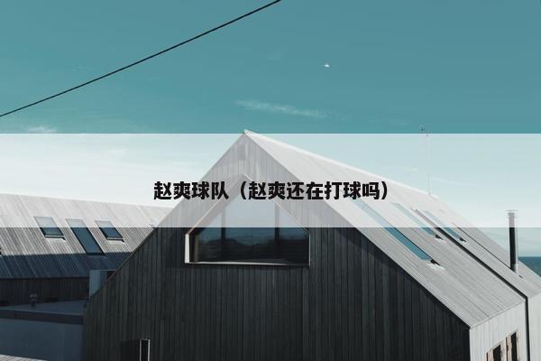 赵爽球队（赵爽还在打球吗）