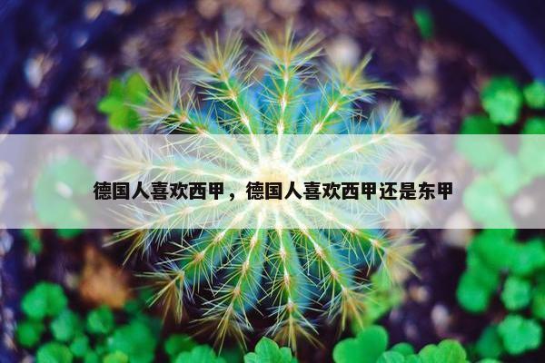 德国人喜欢西甲，德国人喜欢西甲还是东甲