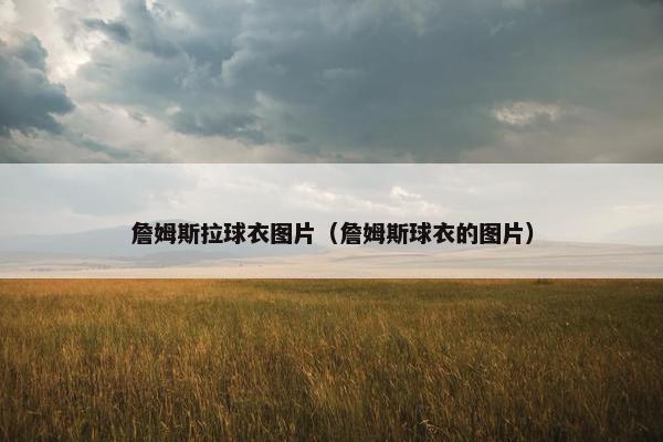 詹姆斯拉球衣图片（詹姆斯球衣的图片）