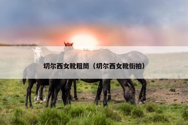 切尔西女靴粗筒（切尔西女靴街拍）