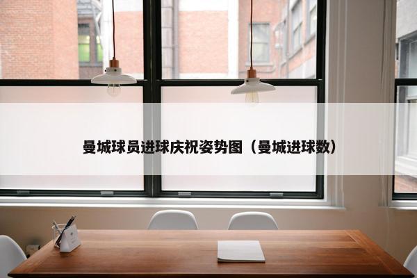 曼城球员进球庆祝姿势图（曼城进球数）