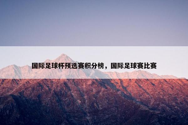 国际足球杯预选赛积分榜，国际足球赛比赛