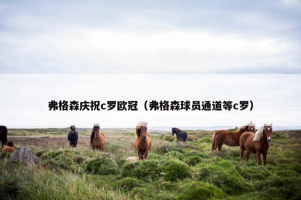 弗格森庆祝c罗欧冠（弗格森球员通道等c罗）
