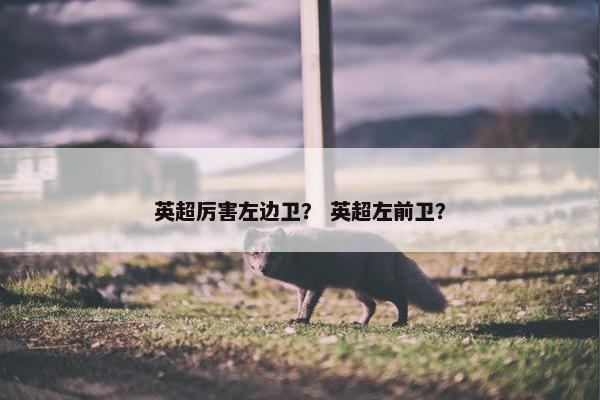 英超厉害左边卫？ 英超左前卫？