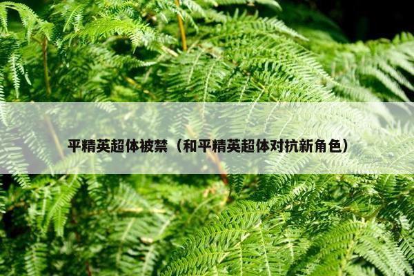 平精英超体被禁（和平精英超体对抗新角色）