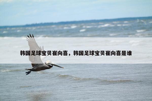 韩国足球宝贝崔向喜，韩国足球宝贝崔向喜是谁
