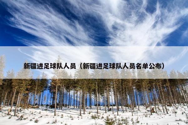新疆进足球队人员（新疆进足球队人员名单公布）