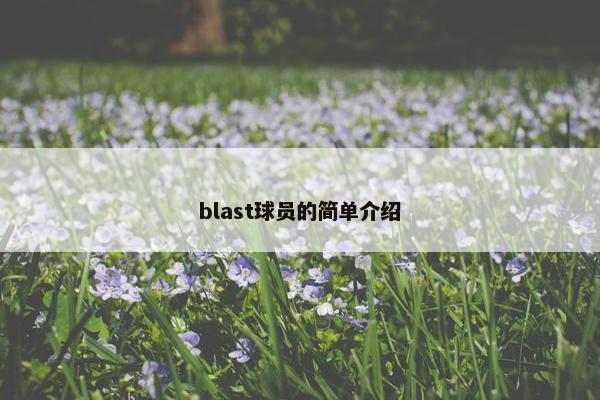 blast球员的简单介绍
