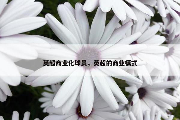 英超商业化球员，英超的商业模式
