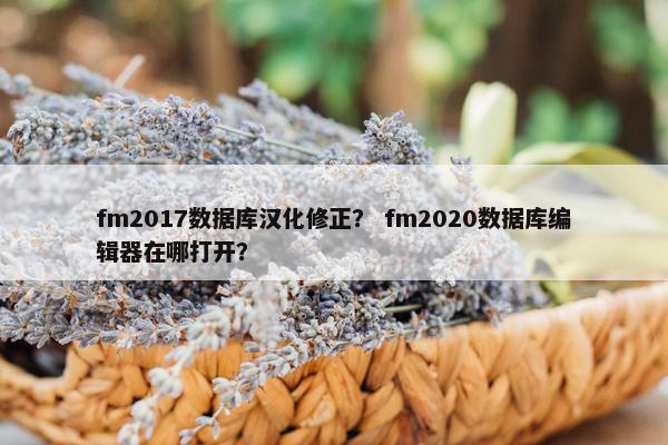 fm2017数据库汉化修正？ fm2020数据库编辑器在哪打开？