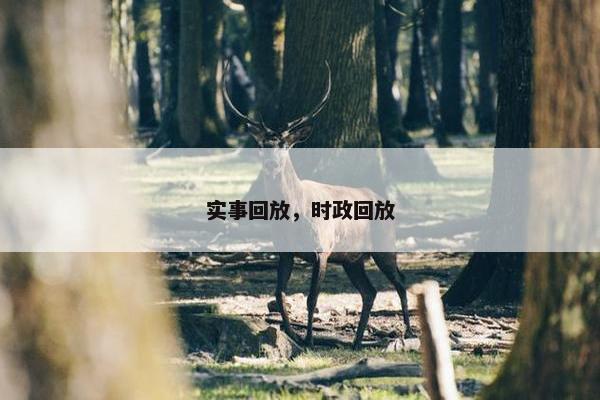 实事回放，时政回放