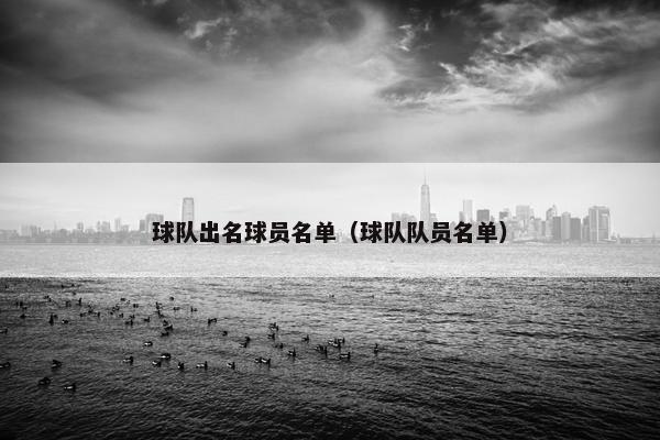 球队出名球员名单（球队队员名单）