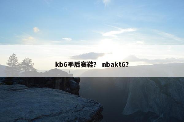 kb6季后赛鞋？ nbakt6？