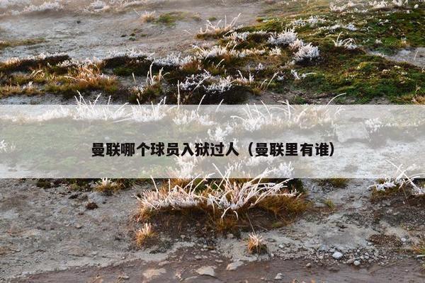 曼联哪个球员入狱过人（曼联里有谁）