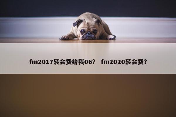 fm2017转会费给我06？ fm2020转会费？