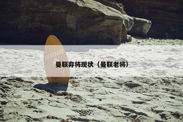 曼联弃将现状（曼联老将）