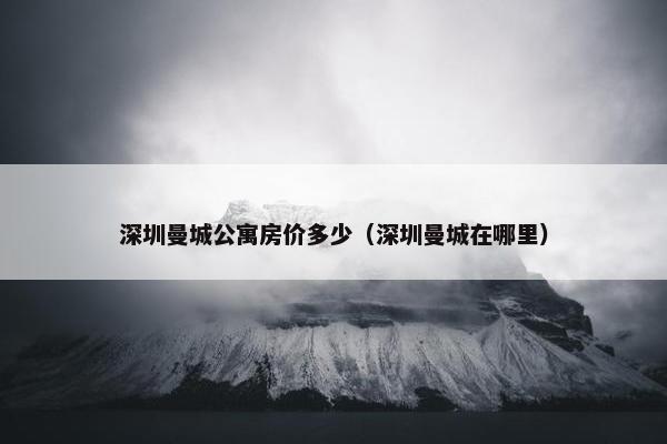 深圳曼城公寓房价多少（深圳曼城在哪里）