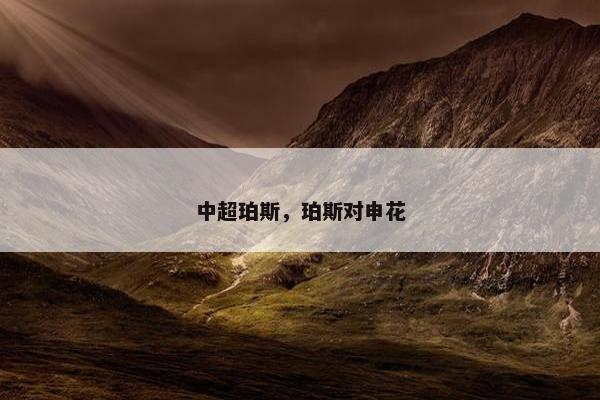 中超珀斯，珀斯对申花