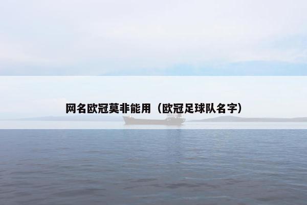 网名欧冠莫非能用（欧冠足球队名字）