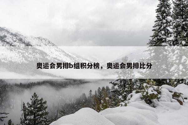 奥运会男排b组积分榜，奥运会男排比分