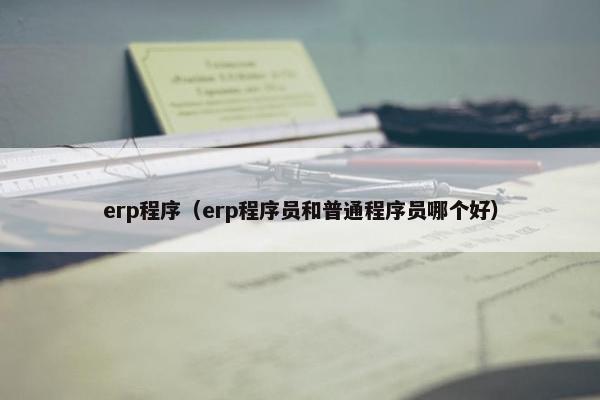 erp程序（erp程序员和普通程序员哪个好）