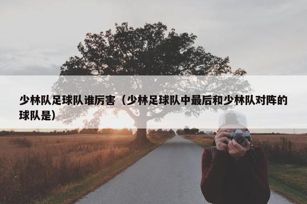 少林队足球队谁厉害（少林足球队中最后和少林队对阵的球队是）