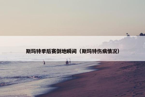 斯玛特季后赛倒地瞬间（斯玛特伤病情况）