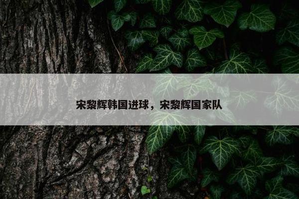 宋黎辉韩国进球，宋黎辉国家队