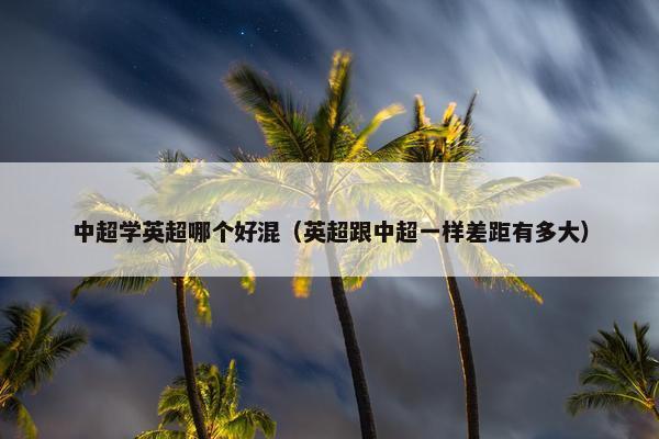 中超学英超哪个好混（英超跟中超一样差距有多大）