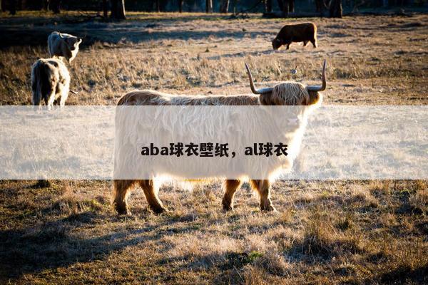 aba球衣壁纸，al球衣