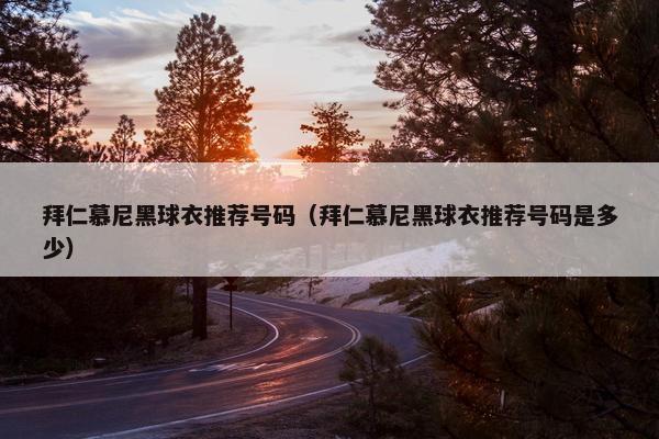 拜仁慕尼黑球衣推荐号码（拜仁慕尼黑球衣推荐号码是多少）
