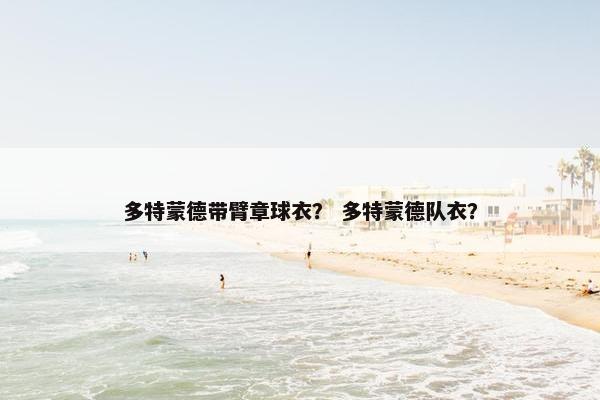 多特蒙德带臂章球衣？ 多特蒙德队衣？