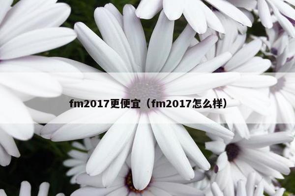 fm2017更便宜（fm2017怎么样）