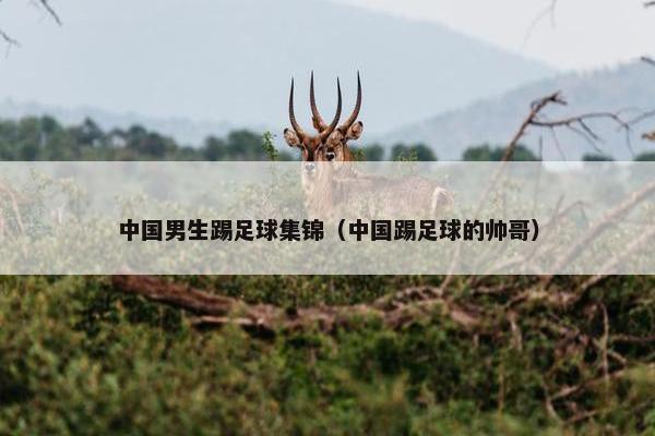 中国男生踢足球集锦（中国踢足球的帅哥）