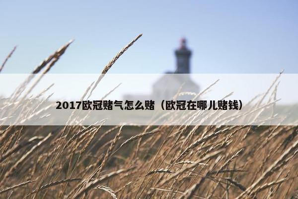 2017欧冠赌气怎么赌（欧冠在哪儿赌钱）